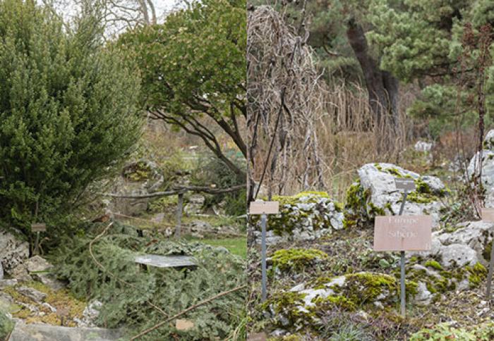 Petra Köhle & Nicolas Vermot-Petit-Outhenin, Plants in Temporal Zones, 2023 Petra Köhle & Nicolas Vermot-Petit-Outhenin, Plants in Temporal Zones, 2023